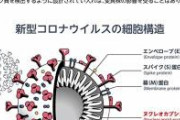 【悲報】厚生労働省、緊急報告。