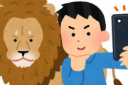 インドの動物園でライオンと自撮りするためにフェンスを乗り越えた男、即襲われて死亡