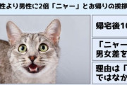 猫が男性に2倍の頻度で鳴き声をあげる理由「愛ゆえではない」