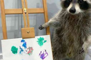 【画像】肉球で描いた貴重な絵をオンラインで販売するアライグマがヤバすぎるｗｗｗｗｗ
