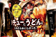 カップ麺メーカー「シチューにうどんを入れたらおいしかった。」