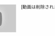 YouTube「あっ！こいつ虫の動画再生したンゴ！」
