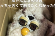 メルカリでクソボロいファービー買って再生させる職人ｗｗｗｗｗｗｗｗｗｗｗ