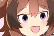 【ウマ娘】チャンミの結果を聞かせるのだ。
