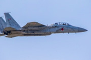 【疑問】戦闘機って未だに機関銃ついてるらしいけど要らなくね？