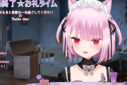【画像】大物Vtuber、ブチギレる「アンチの一生分の稼ぎを納税してる」