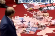 【動画】台湾の国会議員さん、国会で豚の内臓を投げ合うｗｗｗｗｗｗ