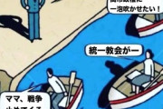 【画像】参政党信者「自民党員のボートが向かう先は...」風刺画をドヤ顔ポストするも、選挙結果は真逆だったとツッコミ殺到ｗｗｗｗｗ