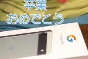 【動画】中学卒業してやっとスマホを買ってもらった少年、androidで絶望ｗｗｗ