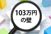 「手取りが増えるなら自治体のサービス低下は容認」世論調査で50％以上に 「年収103万円の壁」引き上げ税収減で