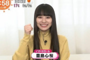 【朗報】めざましテレビのイマドキに出演している豊島心桜さん、とんでもない水着姿を披露する （※画像あり）