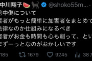 【緊急】中川翔子さん、誹謗中傷についてとんでもない正論ツイートをする