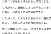 【疑問】なぜ男と女がちゃんと1:1の比率で産まれて来るのか？