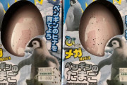 たまごからペンギンが生まれてくるおもちゃを買ったら想像と全然違うモノが産まれたんだけどｗｗｗｗｗ　なんなのコイツ・・・