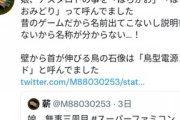 【朗報】Twitter民「8歳の娘にSwitch与えたら魔界村周回してた」←4.7万ｲｲﾈ獲得へｗｗｗｗ