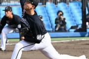千葉ロッテさん、また無名の謎投手を育成してしまう