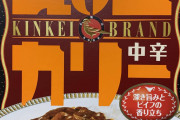 コンビニで銀座のカレー買ってきたｗｗｗｗｗｗｗｗｗｗ