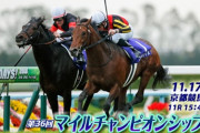 第36回マイルチャンピオンシップ(GＩ)