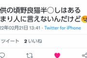 【悲報】反ワク煉獄さん、猫カフェ行く前にとんでもない過去を告白してしまうｗｗｗｗ