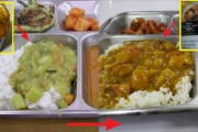 【祝】韓国人「韓国軍の缶詰カレーが、高級で美味しい軍隊カレーにリニューアル！」新しい韓国カレーのビジュアルをご覧ください　韓国の反応