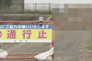埼玉県の市道、とんでもないものが不法投棄されて通行止めに・・・