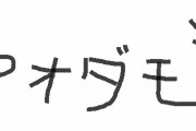 アオダモ、9年目にして初めて花が咲く