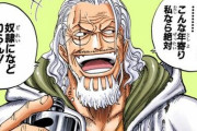 【ONEPIECE -ワンピース】レイリーがロジャーの息子を見殺しにした本当の理由ｗｗｗｗｗ