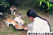 【画像】愛子さま、ペットとして飼っている人間の写真を公開