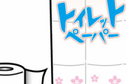 【衝撃】シングルのトイレットペーパークソすぎるｗｗｗｗｗ