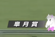 【競馬】三大ただ言いたいだけのレース名「阪神ジュベナイルフィリーズ」「ラピスラズリステークス」