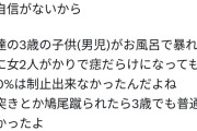 【悲報】3歳児にボコボコにされた成人女性さん、炎上したので法的措置へ