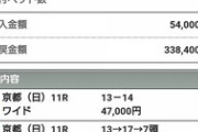 【競馬】結局はワイドが最強馬券である