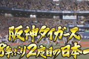 阪神タイガース３８年ぶり２度目の日本一おめでとう！　DeNAファンスレの反応
