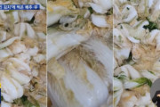 中国「裸キムチ」騒動から一転、なんと韓国「腐ったキムチ」騒動が起きていた…！