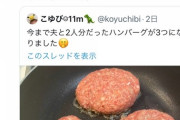 女性「今まで夫と2人分だったハンバーグが３つになりました♪」→ツイフェミぶちきれ大炎上