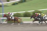 【競馬】福島最終の14番パイロキシンが来る
