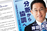 【悲報】岸田「消費税を引き下げると(決まってから実施までの期間)買い控えが起き、消費が減退する」