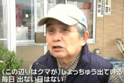 「80センチのクマが50センチの柴犬咥えて森に逃げた」宮城・大崎市　大衡村では「玄関出たらクマと鉢合わせ」60代女性が襲われる