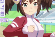 【ウマ娘】なんでさあ、マイルSついて主要スキル完走したらURA3戦で友情光らなくなるの？