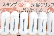 韓国人「猫型洗濯ばさみがここまで話題に？実用とかわいさの境界にある雑貨」→「これが売れる理由」