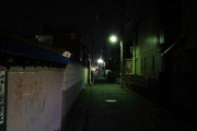 【画像】深夜のお散歩って怖いね....