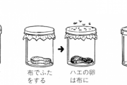1668年の科学者「コバエが肉から自然発生してるのかどうか知るための実験思いついたで！」　→