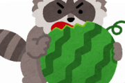 【驚愕】アライグマが「美味しい」という事実が全国に知れ渡った結果ｗｗｗｗｗｗ