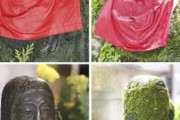 【大阪・法善寺】石像２体はがされた苔、再び生え始める！