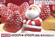 【画像】クリスマスケーキ、今年も値上げへ。ホールケーキが5000円の時代へ