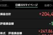 3月から株を始めた結果ｗｗｗｗｗ