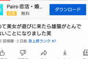 【悲報】大人気ネコ「もちまる」の飼い主さん、美女をゲストに呼んでしまい炎上ｗ