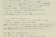 鳥山明「悟空は別にクリリンのことは好きじゃない。好きなら最初の死亡で超サイヤ人に覚醒してる」