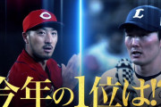 プロ野球選手100人分の1位　守備部門2021
