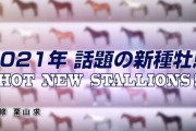2021年の新種牡馬について語りましょう